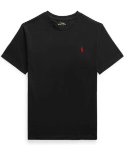 Polo Ralph Lauren Kids Short Sleeve Jersey T-Shirt (Big Kids) | Shirts & Tops -The Kiddie Closet 513p wr9RbL. AC SR736920