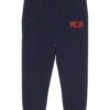 Polo Ralph Lauren Kids Big Pony Logo Double-Knit Jogger Pants (Toddle/Little Kids) 2 Polo Ralph Lauren Kids Big Pony Logo Double-Knit Jogger Pants (Toddle/Little Kids) -The Kiddie Closet 617Y47dYdL. AC SR736920