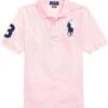 Polo Ralph Lauren Kids Big Pony Cotton Mesh Polo Shirt (Big Kids) | Shirts & Tops