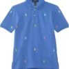 Polo Ralph Lauren Kids Polo Pony Cotton Mesh Polo Shirt (Toddler/Little Kid) | Shirts & Tops 5 Polo Ralph Lauren Kids Polo Pony Cotton Mesh Polo Shirt (Toddler/Little Kid) | Shirts & Tops -The Kiddie Closet 81fpj2BbElL. AC SR736920