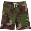 Polo Ralph Lauren Kids Fleece Shorts (Toddler) -The Kiddie Closet 81rh8VIxvpL. AC SR736920
